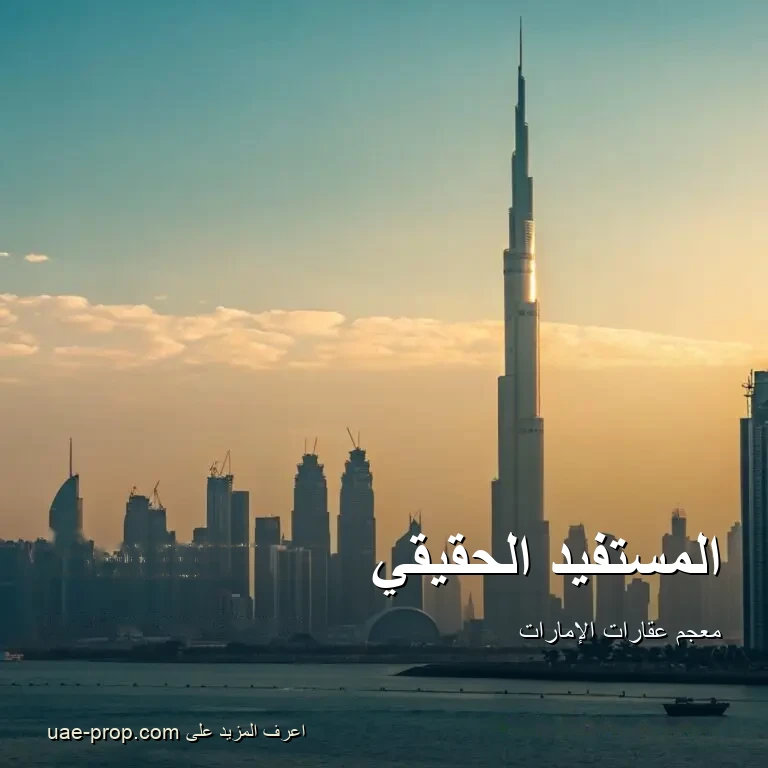 المستفيد الحقيقي 1 المستفيد الحقيقي — uae-prop.com