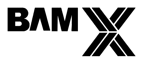 BAMX Development logo