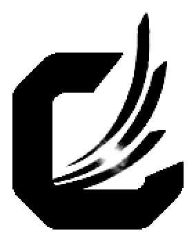 Cayan Group logo