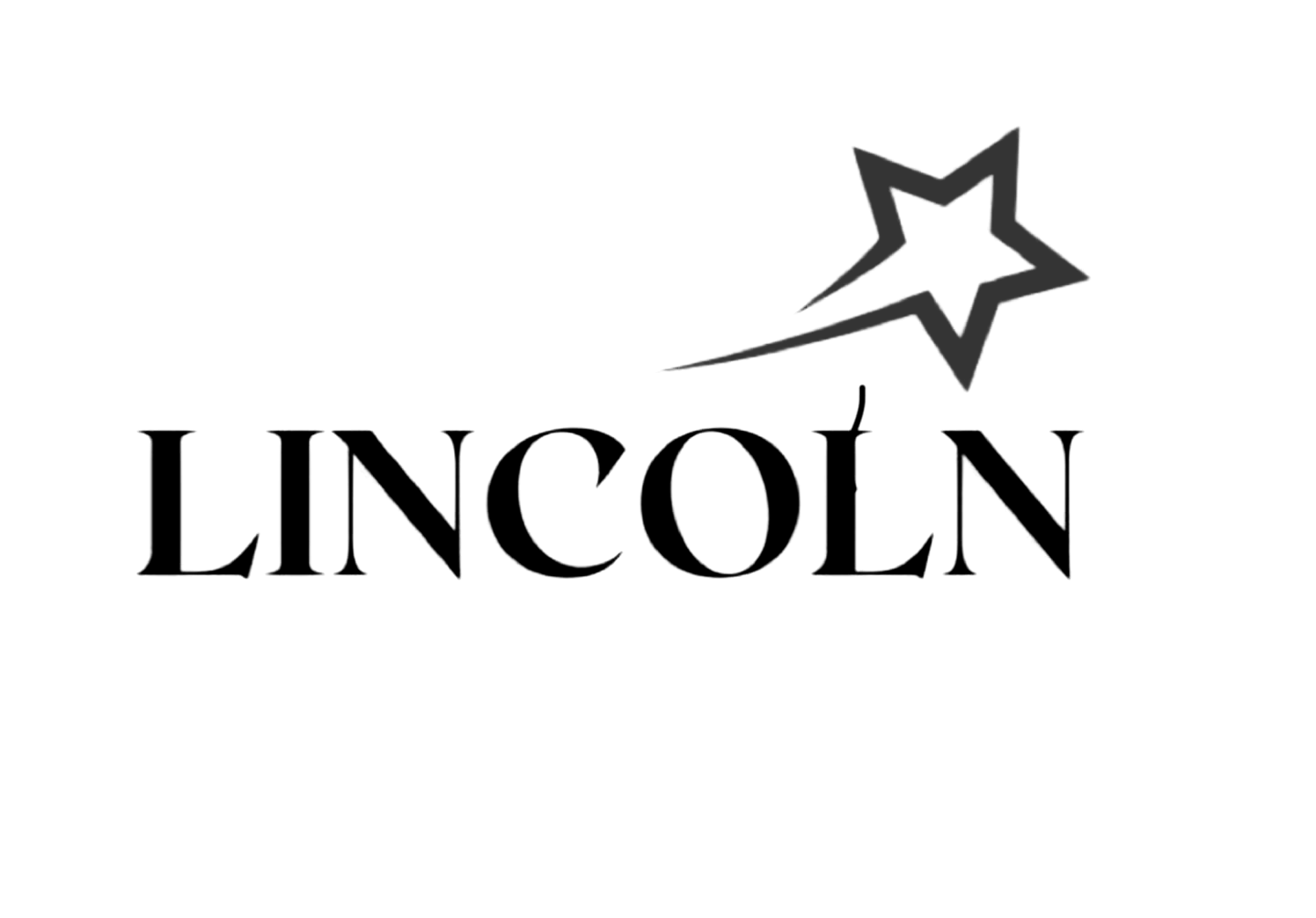 Lincoln Star Real Estate Development logo