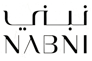 NABNI Developments logo