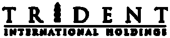 Trident International Holdings logo